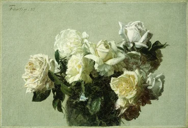 Roses