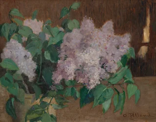 Lilas