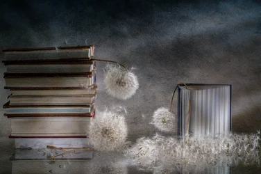 Livres rêveurs et pissenlits