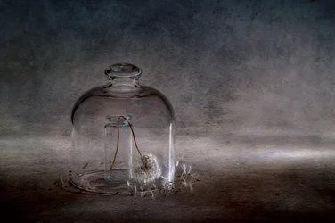 Fragile cloche à pissenlit