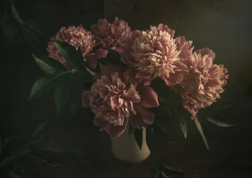 Élégantes pivoines roses