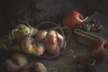 Fruits d
