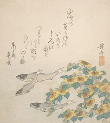 Poissons nageant avec des fleurs jaunes, vers 1830