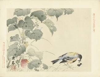 Oiseau près d