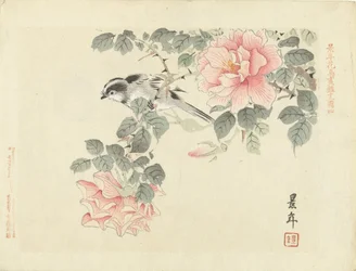 Oiseau noir et blanc parmi des roses roses - Esquisses de fleurs et d