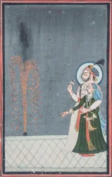 Un Raja et une Rani regardant des feux d