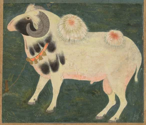 Un bélier royal avec une chaîne en or, vers 1585