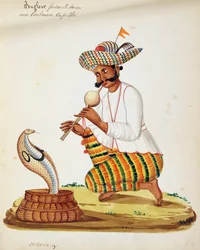 Un charmeur de serpents indien avec un cobra, d