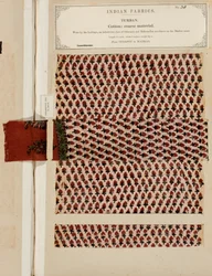 Échantillon de turban en coton grossier de Sydapet à Madras, de The Collection of the Textile Manufacturers of India, par John Forbes Watson, publié en 1866