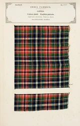 Échantillon de plaid en coton de Mylapore à Madras, de The Collection of the Textile Manufacturers of India, par John Forbes Watson, publié en 1866