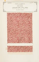 Échantillon de coton avec impression chetee (chintz) d