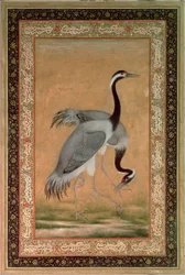 Grues de Mansur, Période Jahangir, Mughal