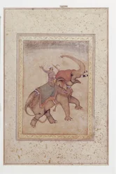 Éléphant et cornac (conducteur d