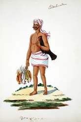 Agriculteur avec des poules