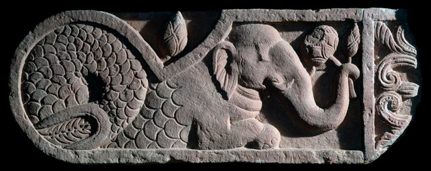 Éléphant à queue de poisson