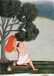 Dame indienne à sa toilette coiffant ses cheveux