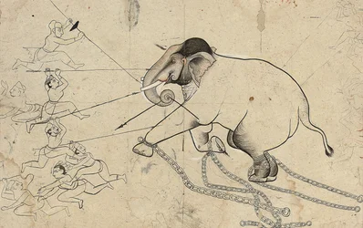 Isarda ou kotah dessin préparatoire du dressage d