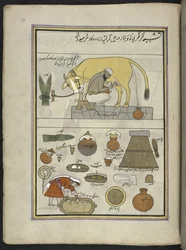 Laitier de la caste Gujar et sa femme