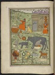 Laitiers de la caste Gujar dans la forêt, 86 dessins reliés en un volume représentant des métiers et occupations au Cachemire, Artiste du Cachemire, probablement à Srinagar, c.1850-60
