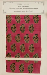 Échantillon de satin Mushroo de Hyderabad au Deccan, de The Collection of the Textile Manufacturers of India, par John Forbes Watson, publié en 1866