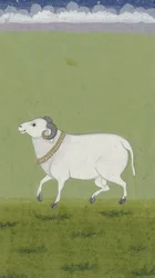 Bélier avec collier doré, 1700-1799