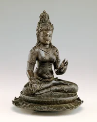 Tara assise