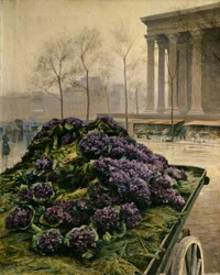 Violettes de Nice, 1902