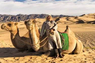 Une femme se reposant avec des chameaux dans le désert de Gobi Sud, Mongolie, 2015