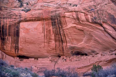 Épis de maïs, restes du dernier repas ancien de ces Anasazi, continuent de joncher le sol