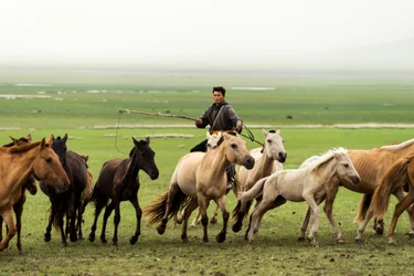 Famille locale rassemblant leurs chevaux dans la réserve naturelle de Gun-Galuut