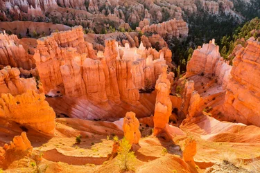 Lever de soleil sur les Hoodoos dans le parc national de Bryce Canyon
