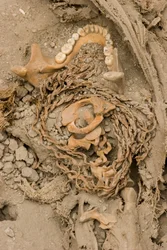Les restes du sacrifice féminin, 2005