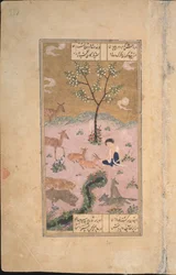 Majnun dans le désert, 1431