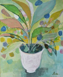 Plante en pot colorée