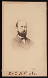 Portrait de Charles Abiathar White 1826-1910, 1868