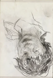 Tête de femme