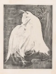 Études d