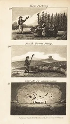 Commerces en Angleterre de la Régence