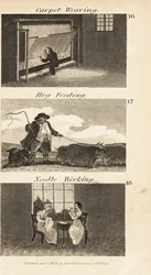 Métiers dans l