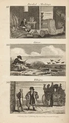 Métiers en Angleterre Régence : fabrication de paniers, plumage des oies et fouets