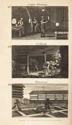Métiers en Angleterre de la Régence : soufflage de verre, houillère et tannage