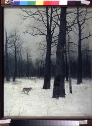 Forêt en hiver