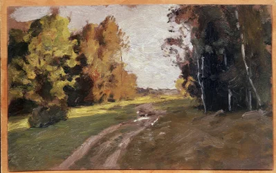 Le soir, un chemin dans le bois