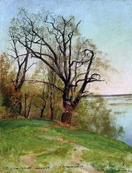 Chêne sur la rive, 1887
