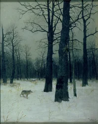 Bois en hiver