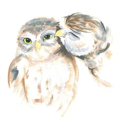 Hiboux affectueux