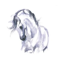 Étude de cheval en mouvement