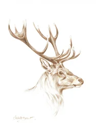 Dessin d