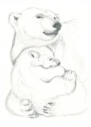 Dessin d
