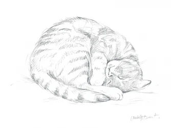 Dessin d